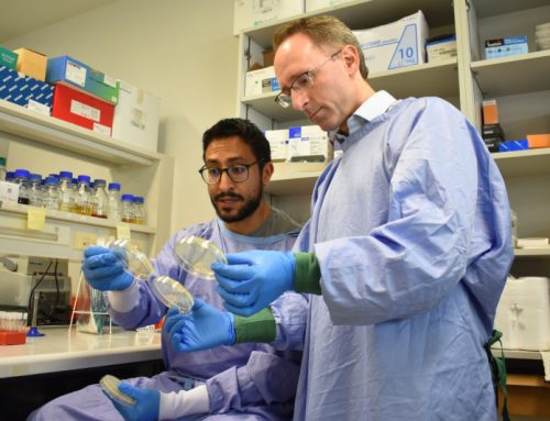 Đại học Monash phát hiện kháng sinh chống lại vi khuẩn kháng thuốc