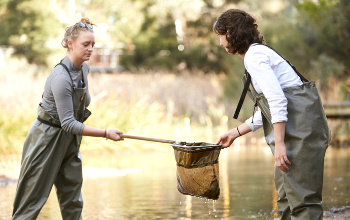 Career-Prospects-2019-690×435