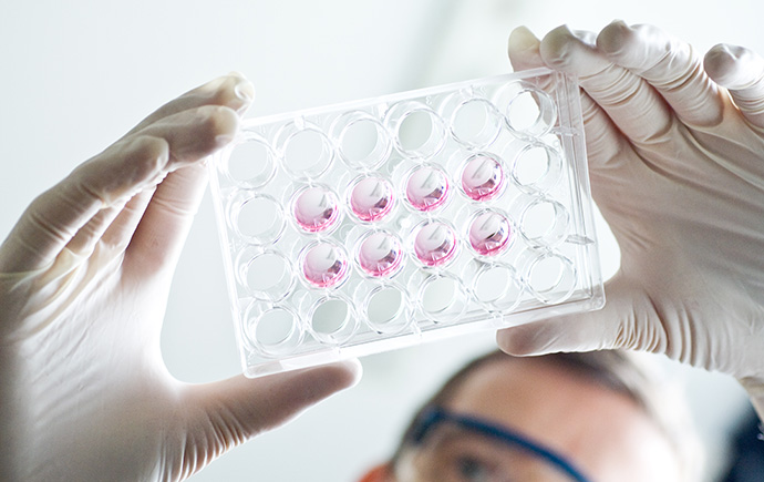 Monash-Feature-Box-Research-degrees