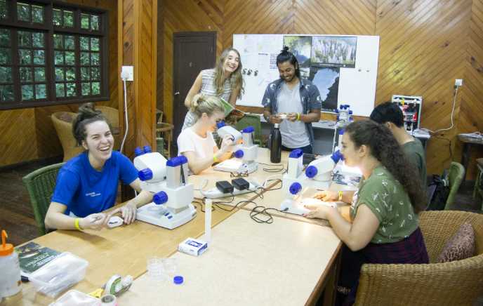 Weir-Borneo-DSC_1130-690×365